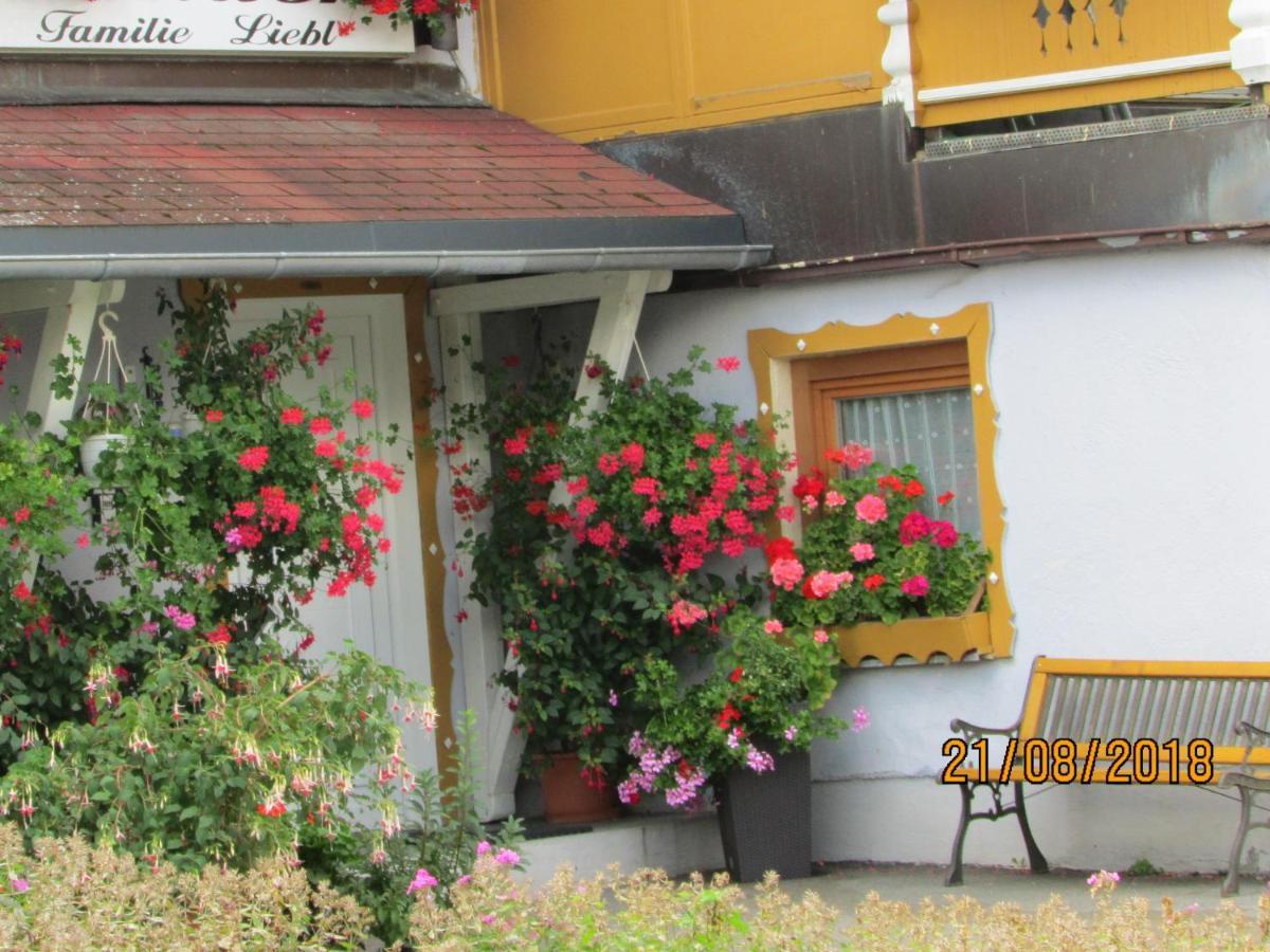 Apartments Bei Familie Liebl Sankt Oswald-Riedlhuette Exterior foto
